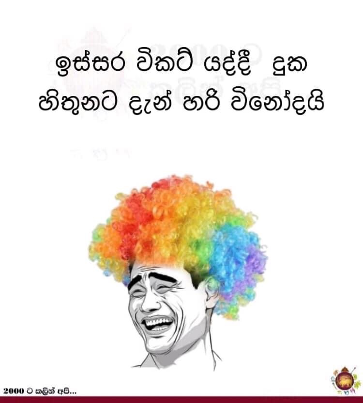 C4C11C7C-2158-40DD-8D2B-E687F705B380.jpeg