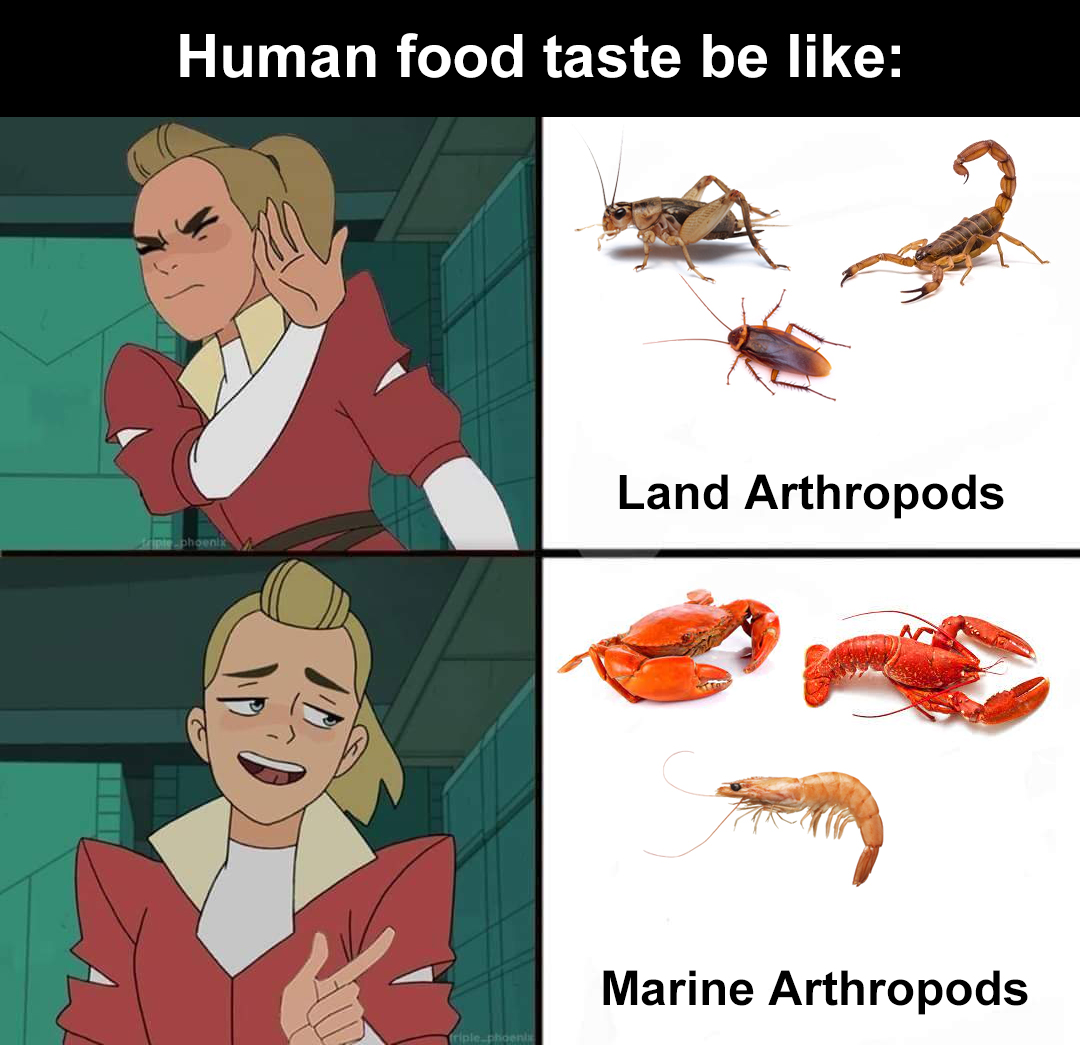c86yynyyh0e71.jpg