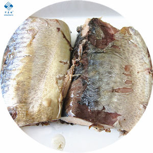 Canned-Mackerel-in-Brine.jpg