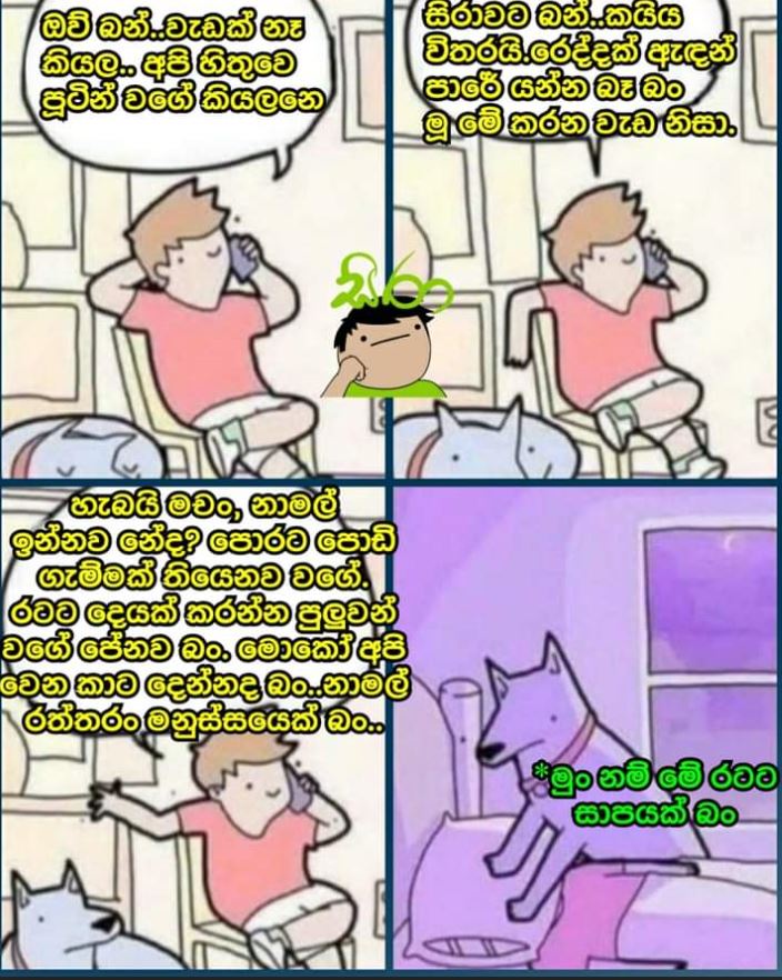 Capture.JPG