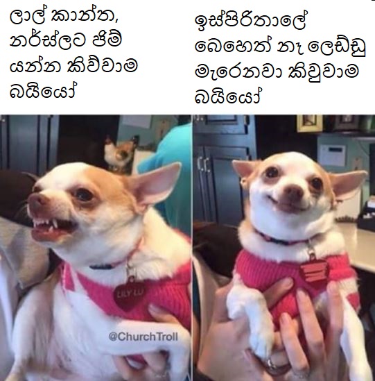 Capture.JPG