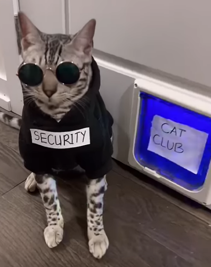 Capture.PNG
