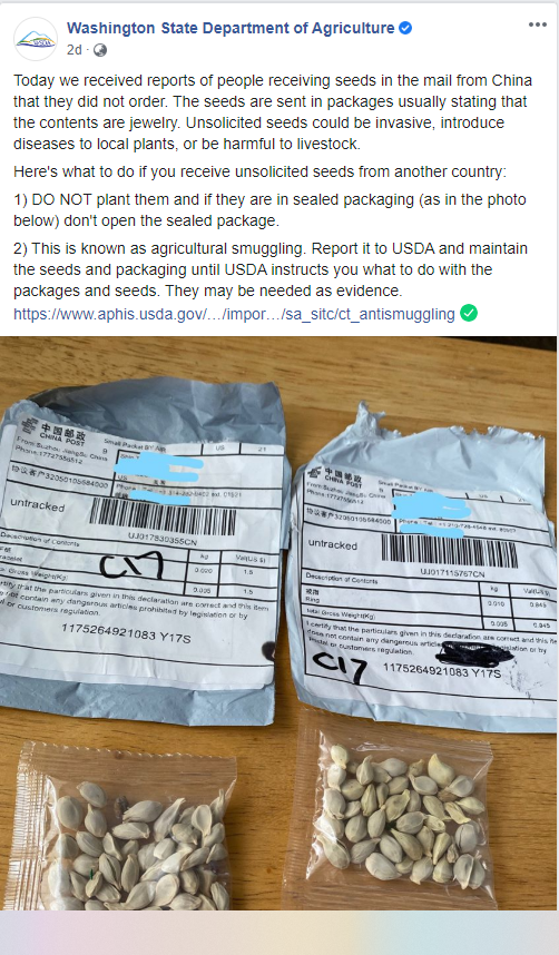Capture s.PNG