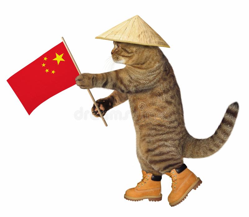 cat-chinese.jpeg