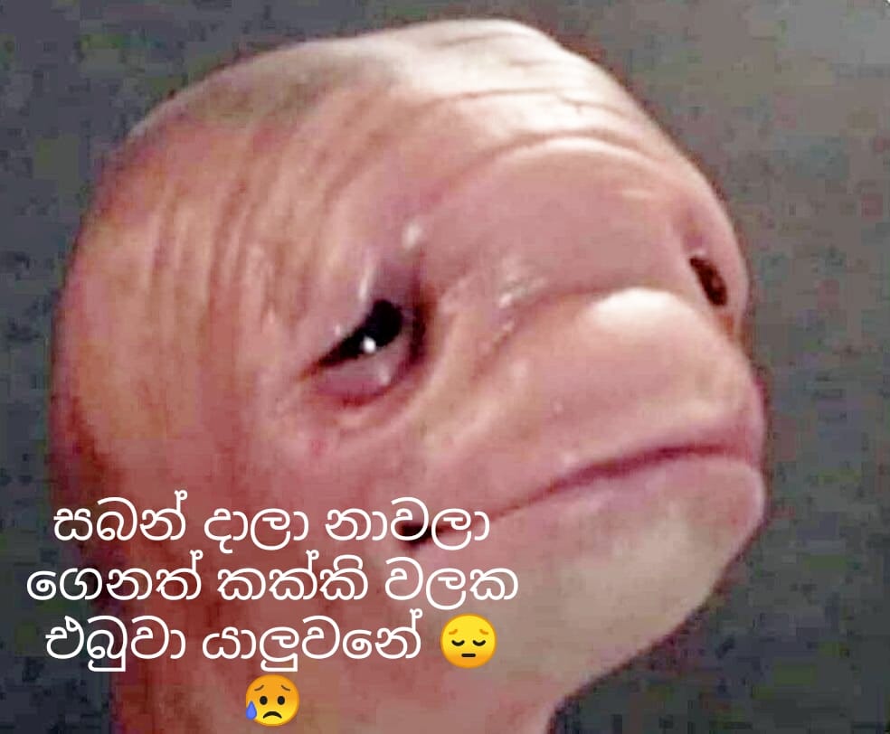 CD0B7031-65C6-4FE7-8470-383D8CC771BC.jpeg