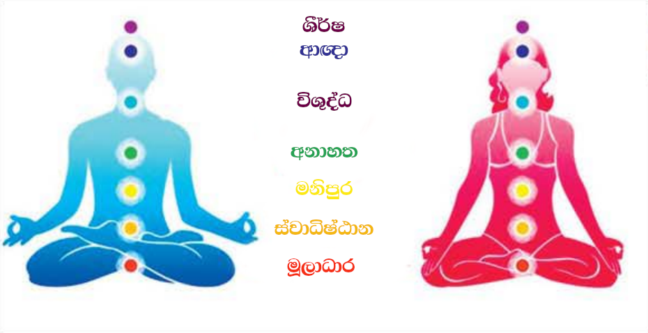 chakra.png