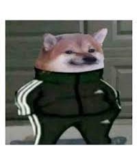 cheems.jpg
