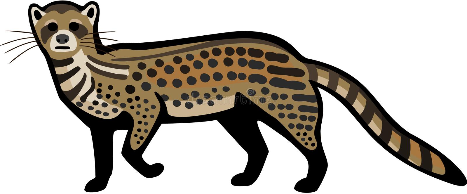 civet-illustration-cat-eps-file-pending-67175229.jpg