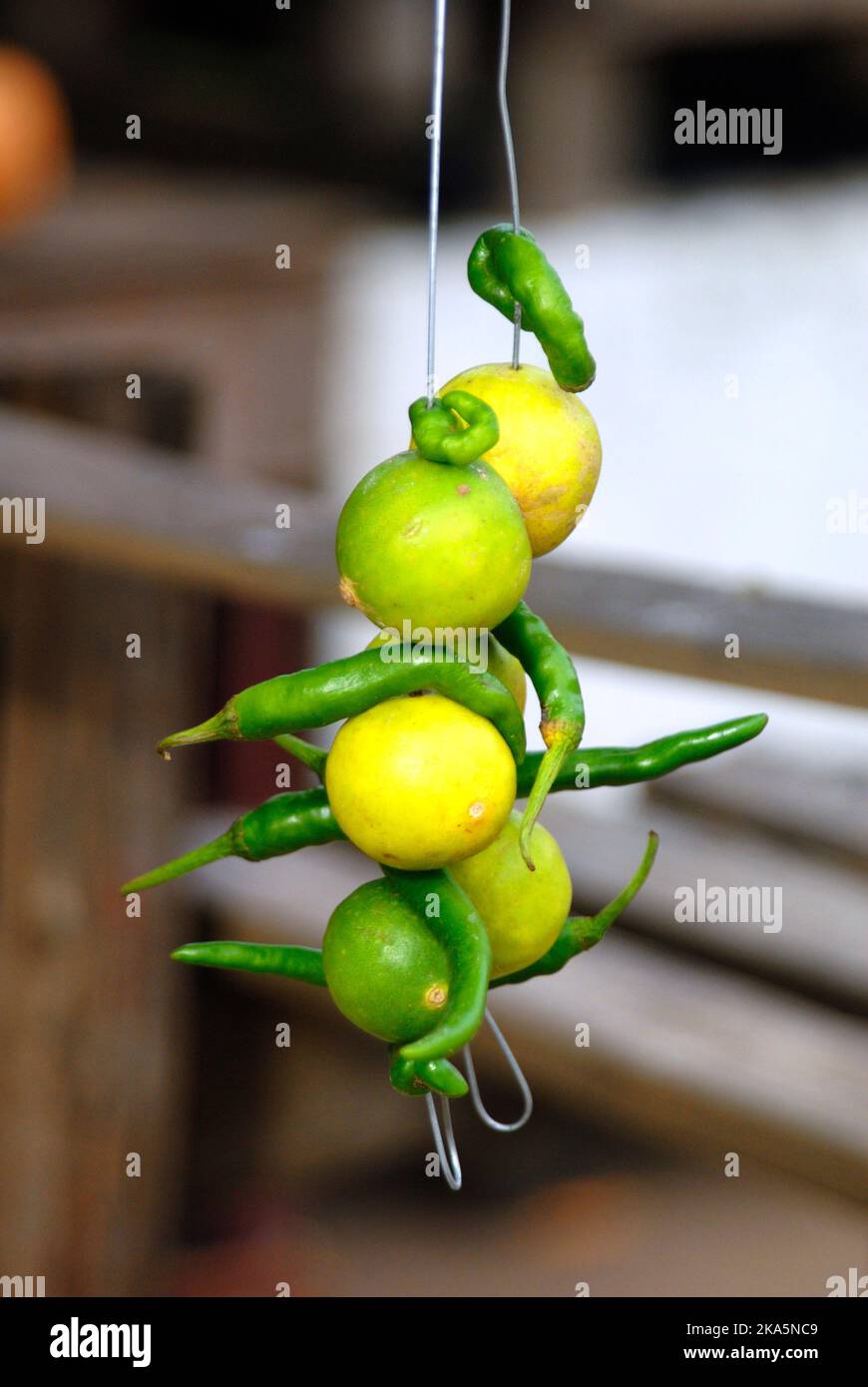 close-up-of-lemon-and-chili-hanging-on-vehicle-charm-amulet-limes-and-chili-2KA5NC9.jpg