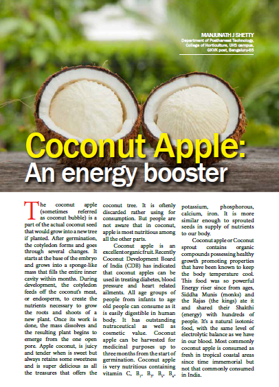 CoconutApple.PNG