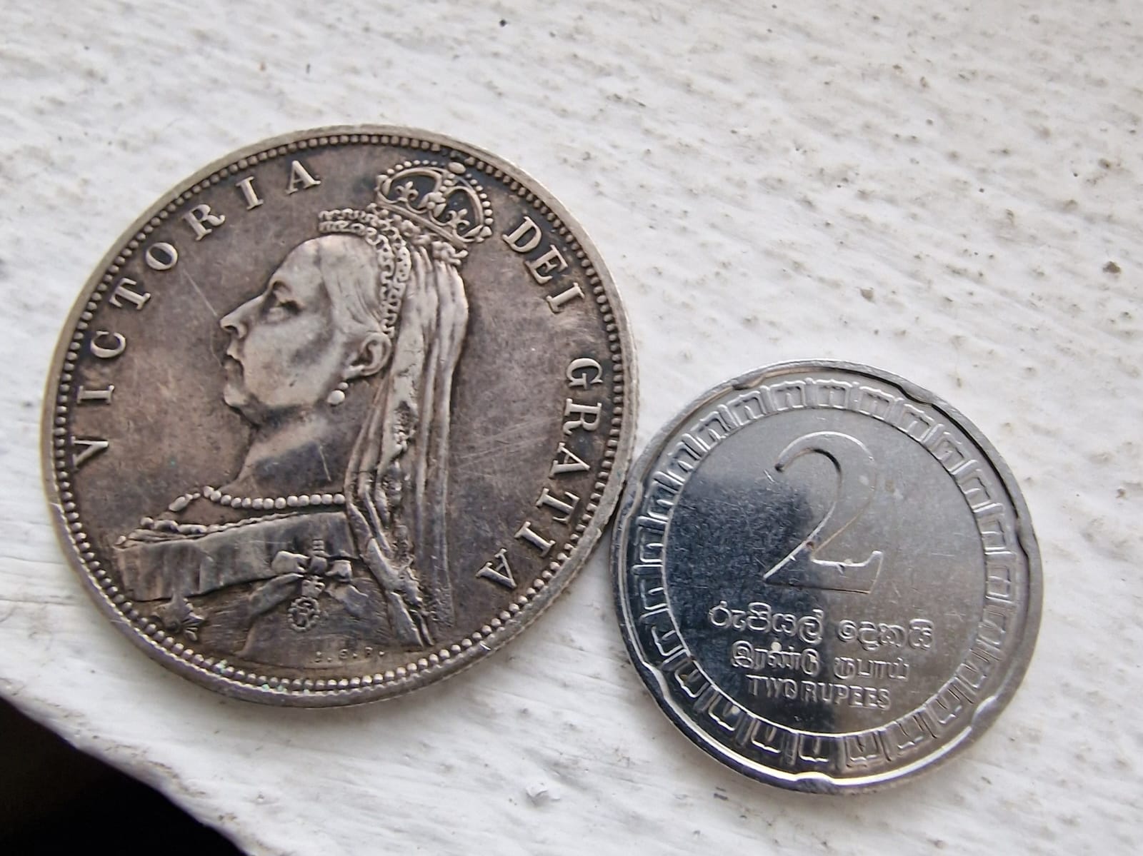 Coin (1).jpeg