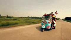 CompassionatePleasedChicken-max-1mb.gif