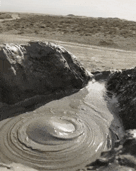 ComplexEsteemedAmericanmarten-max-1mb.gif