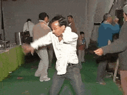CreativeHalfAlligatorgar-max-1mb.gif