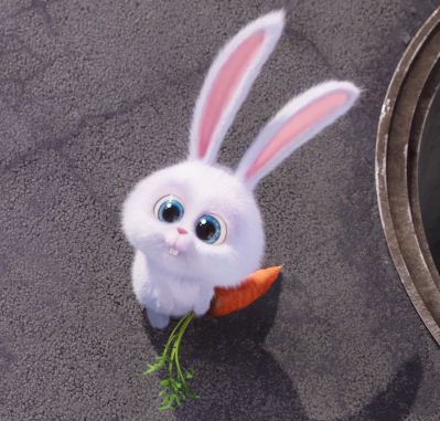cute-bunny.jpg