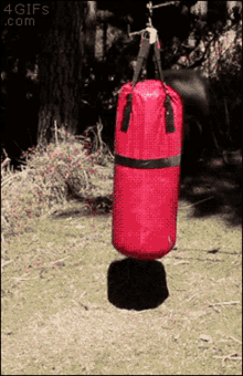 D167E717-2BCE-459A-997F-E5D367AB3258.gif