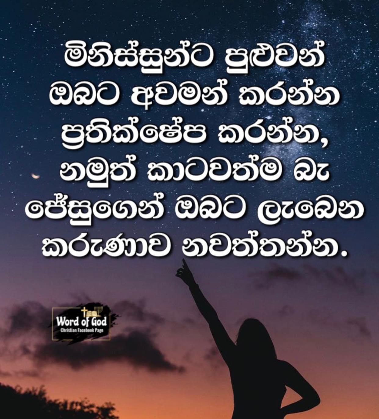D7C75666-BD51-4FAC-BB43-E57913F1B624.jpeg