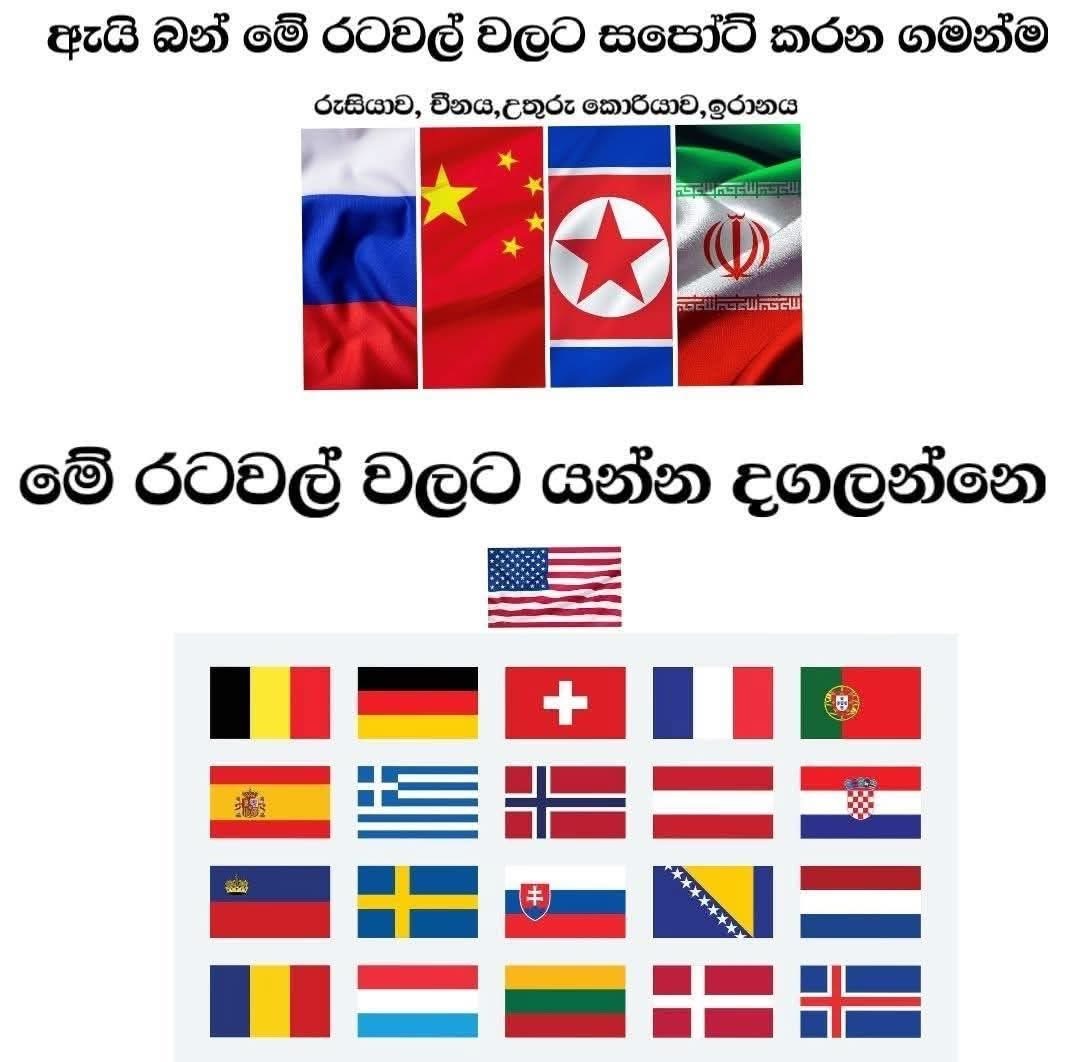 DD4BEA47-4811-4B50-A4C1-F7EDD1576C40.jpeg