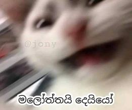 deiyo.jpg