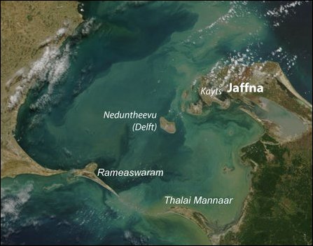 delft_jaffna_69534_445.jpg