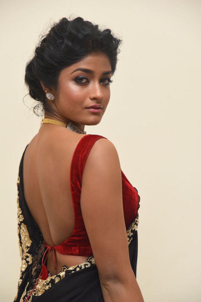 Dimple-Hayathi-Fizzle-In-Saree_11.jpg
