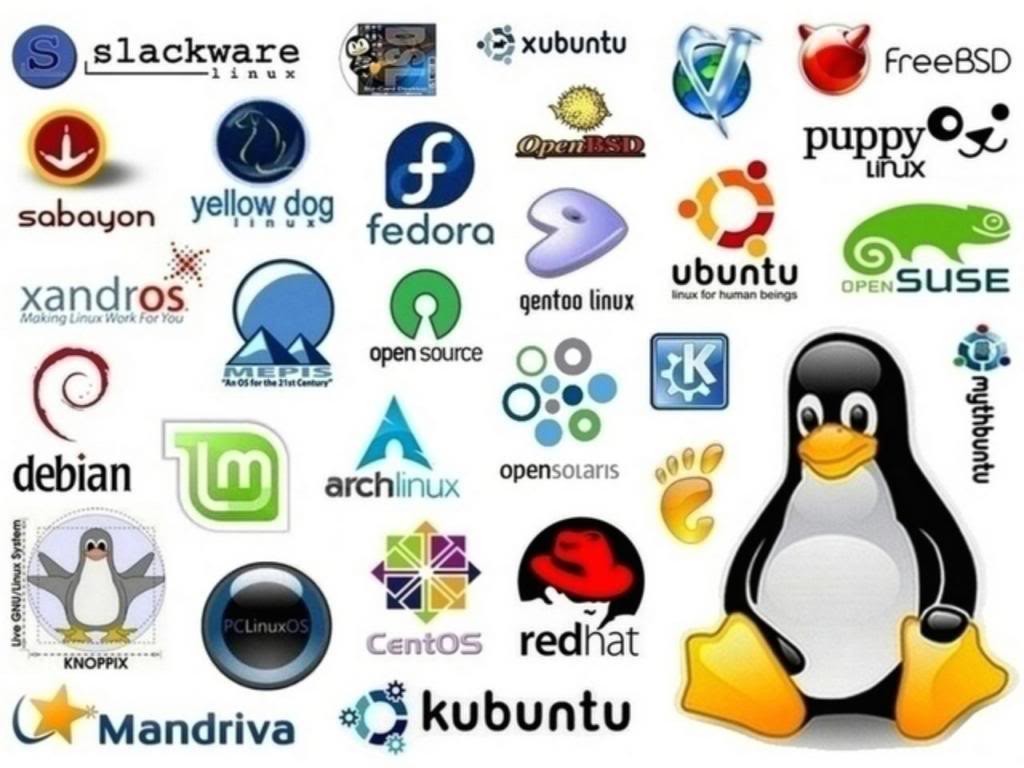 distros-1024x768.jpeg