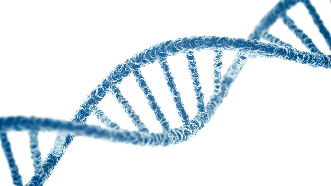DNA_16x9_0.jpg