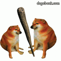 dog.gif