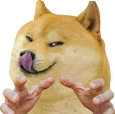 doge-licking-meme-with-2-human-hands-fe9ca8992de790fd1b6bb86209033fc9.jpg