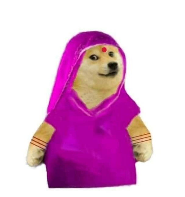 doge-mom-wearing-saree-female-meme-template-.jpg