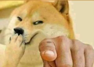 doge-pointing-on-you-meme-template-300x216.jpg
