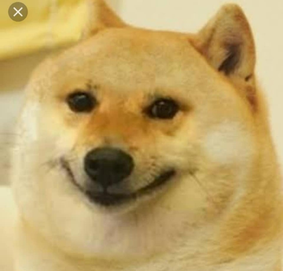 doge-weird-face-meme-template.jpg