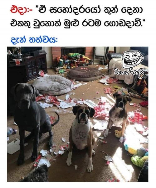 Doggies.jpg