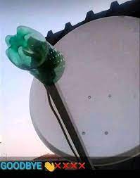 download.jpg