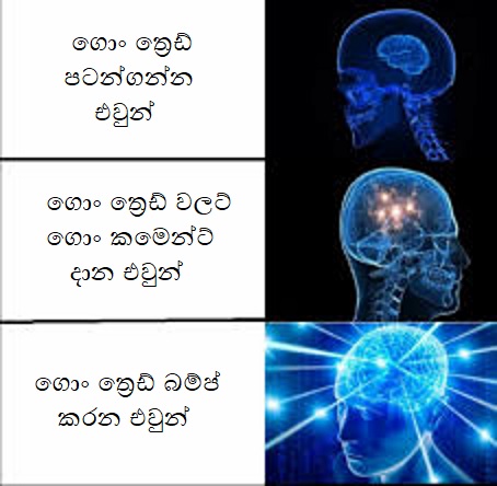 download.jpg