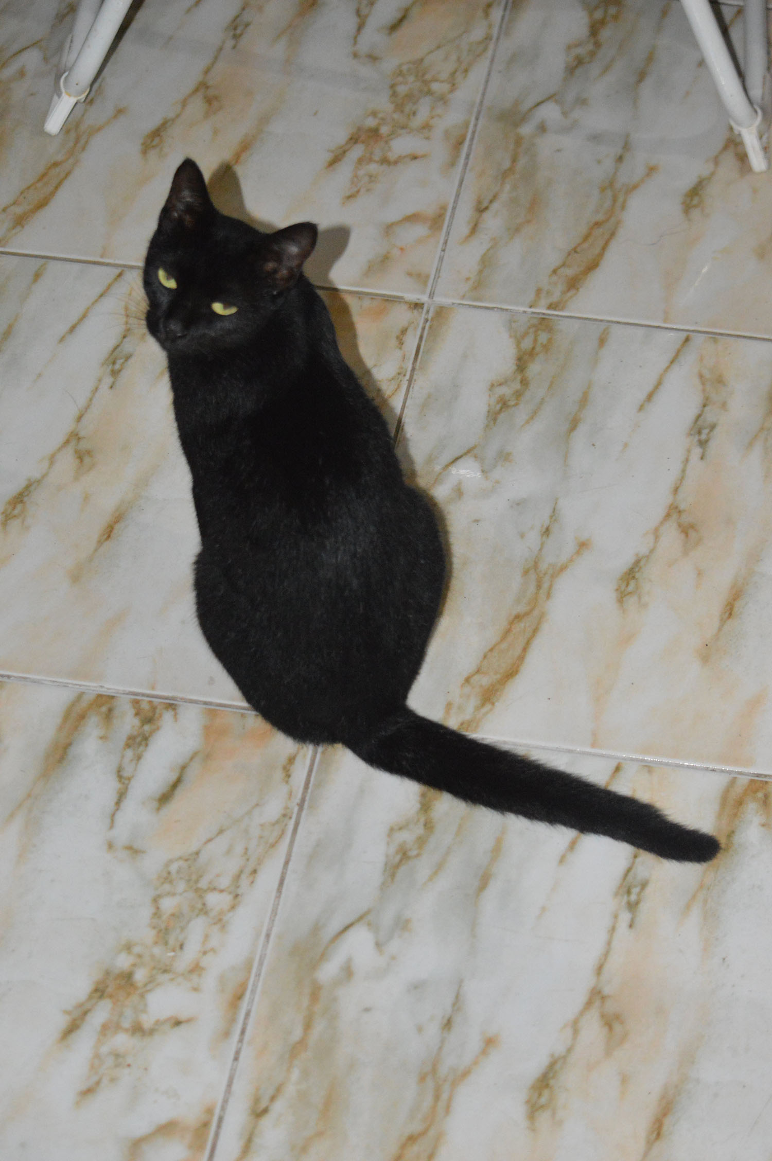 DSC_0127-min.JPG