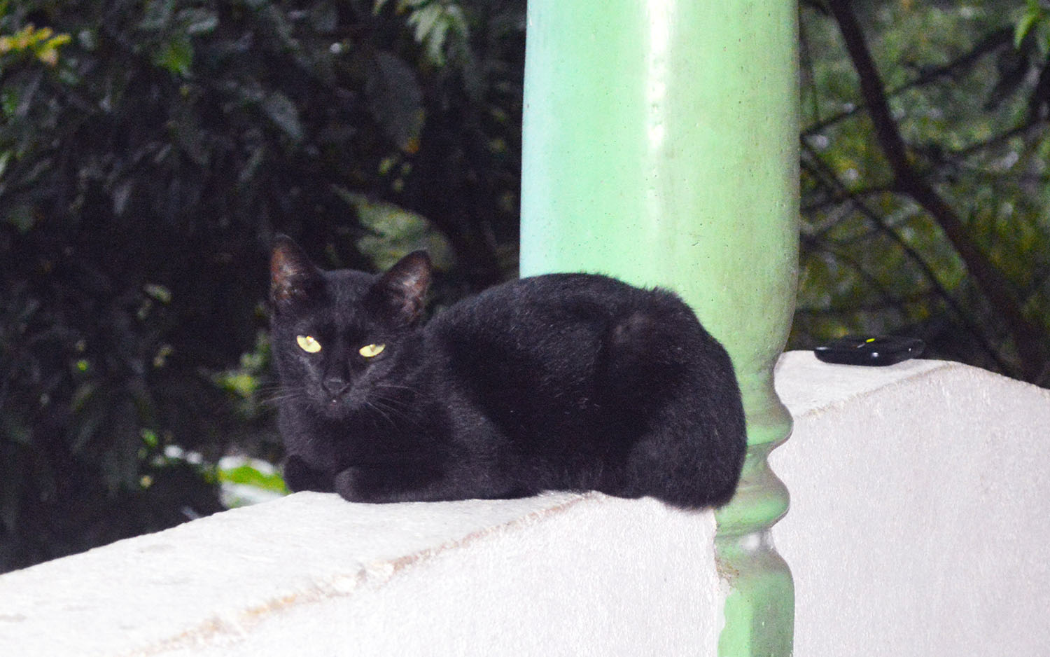 DSC_0210-min.JPG