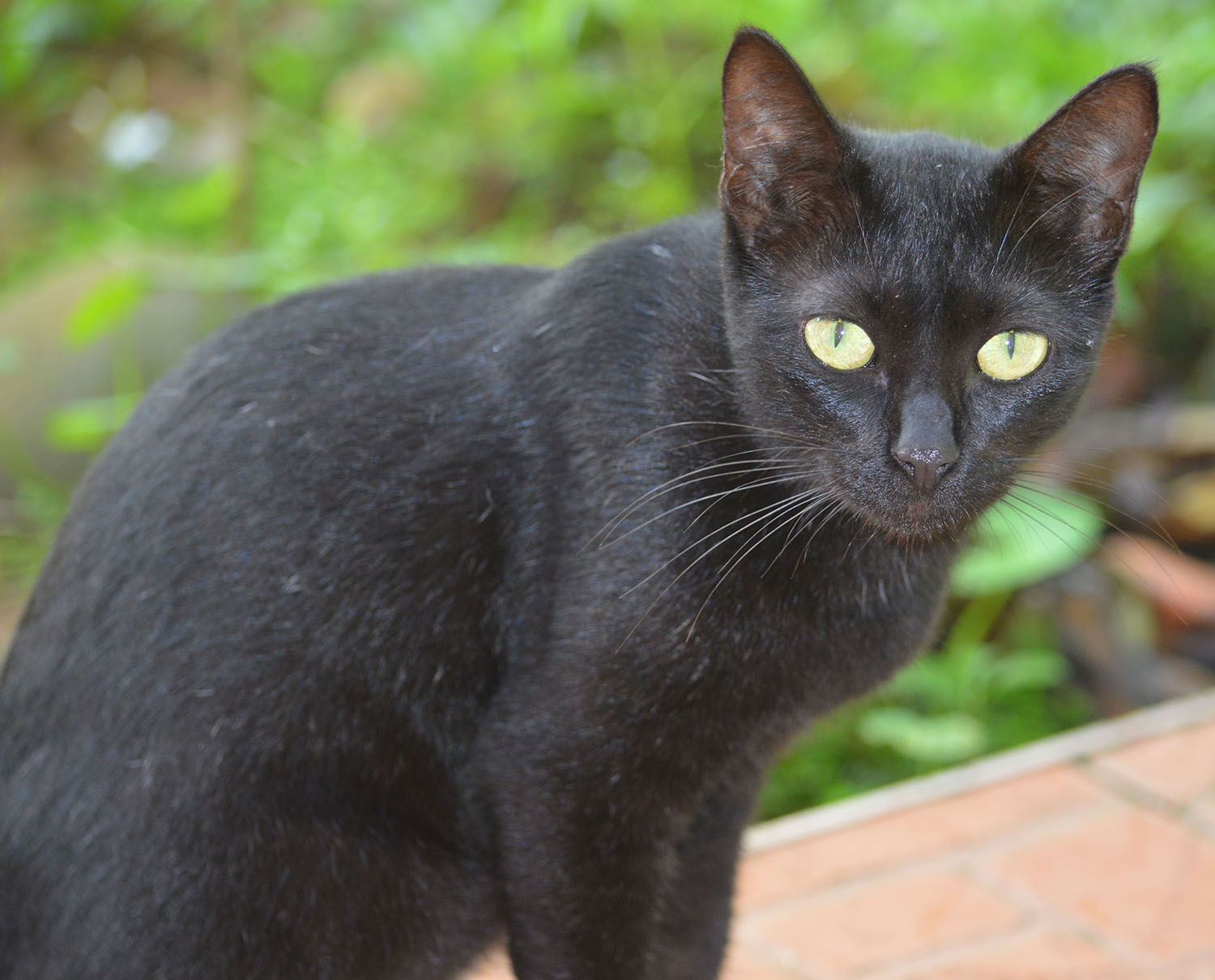 DSC_0224-min.JPG