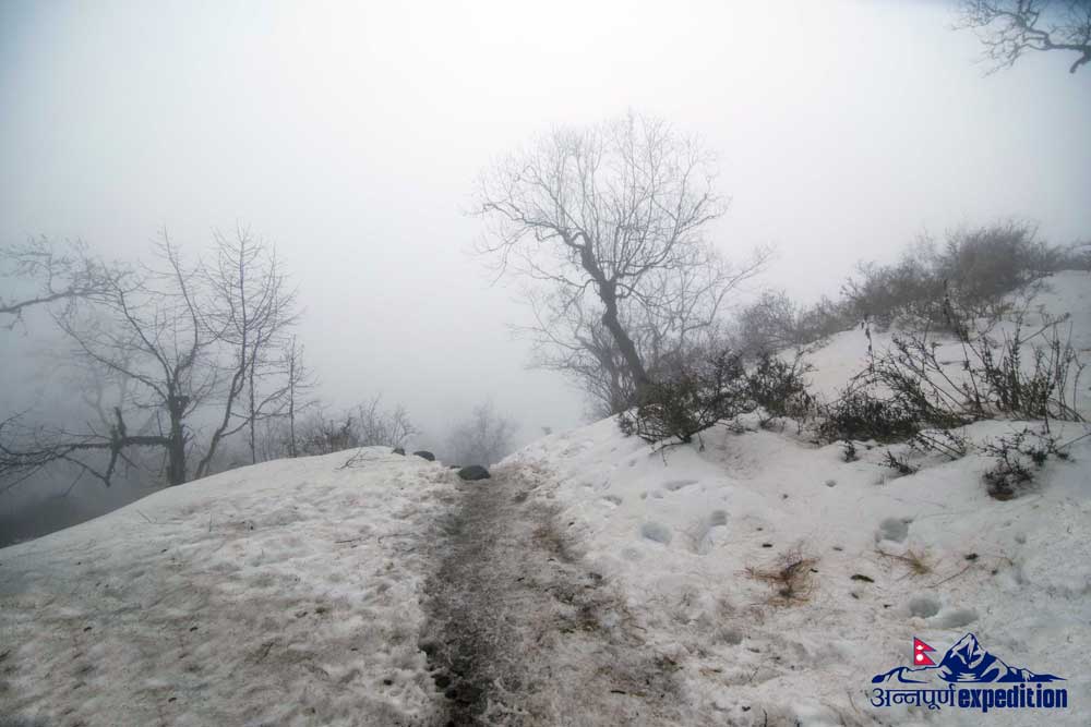 DSC_0424.jpg
