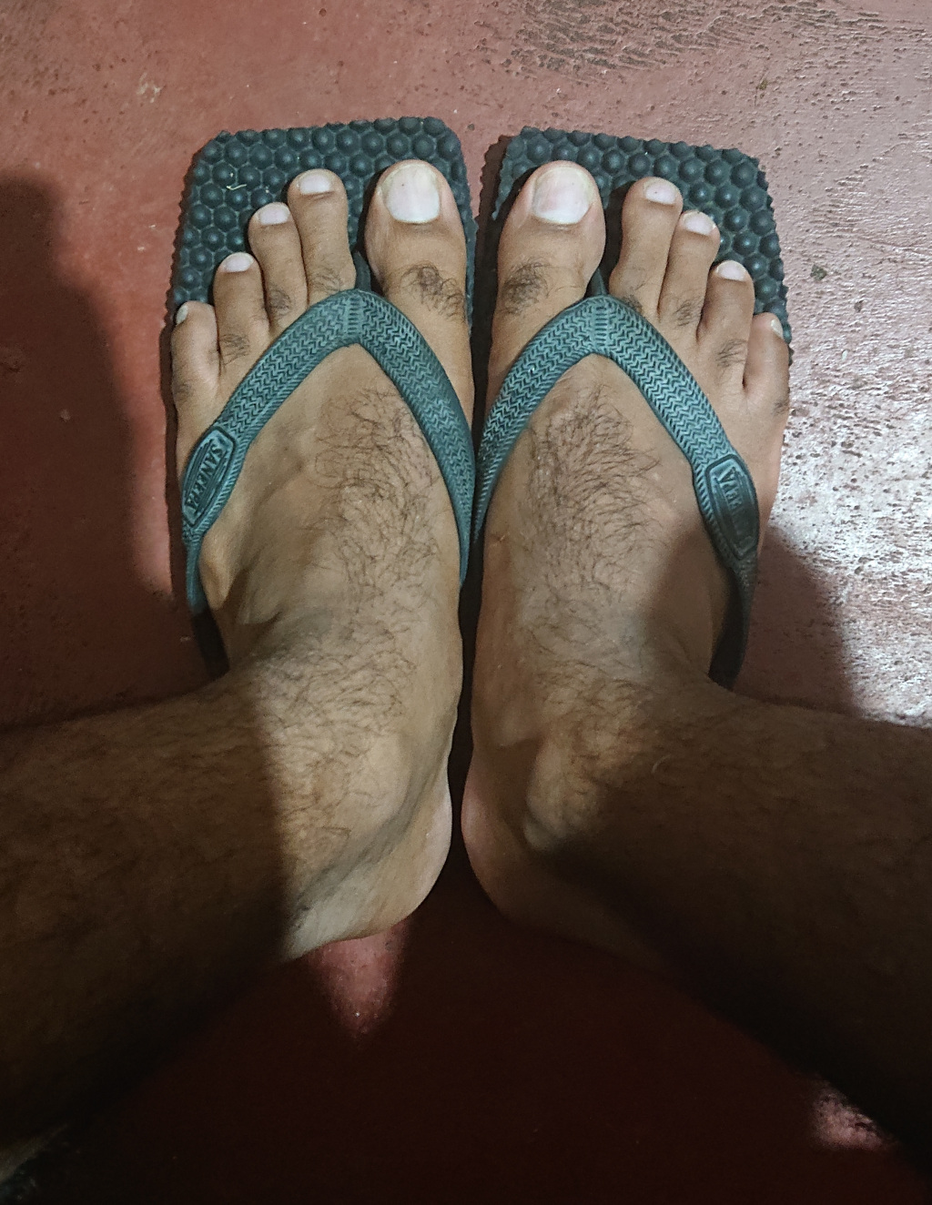DSC_0558.jpg