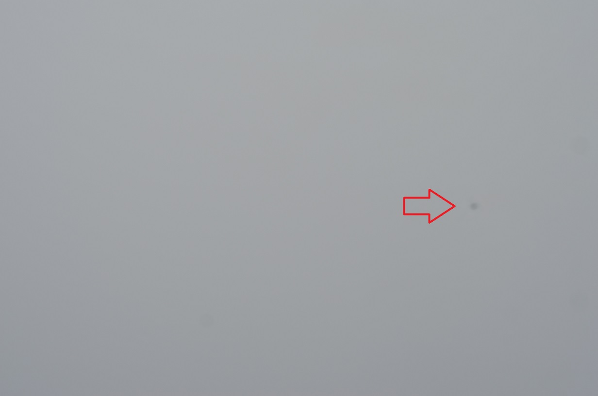 DSC_4308.JPG