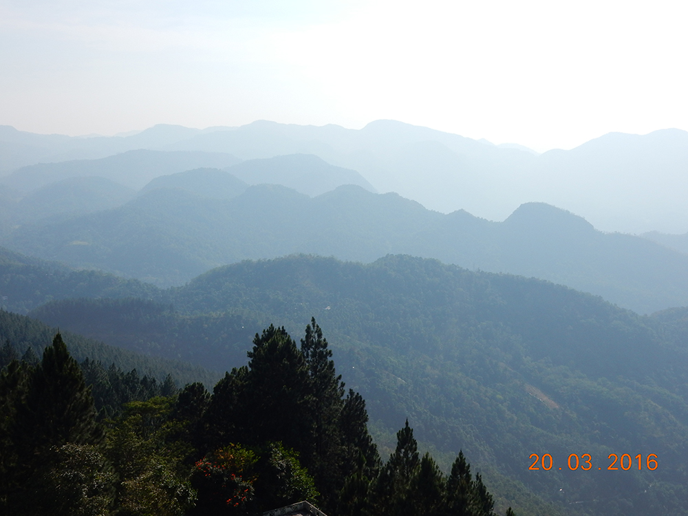 DSCN0480.JPG