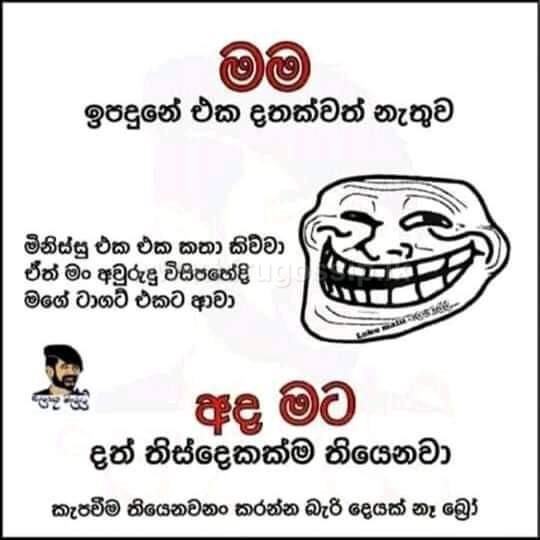 duwadeemata_15.jpg