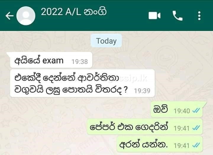duwadeemata_22.jpg