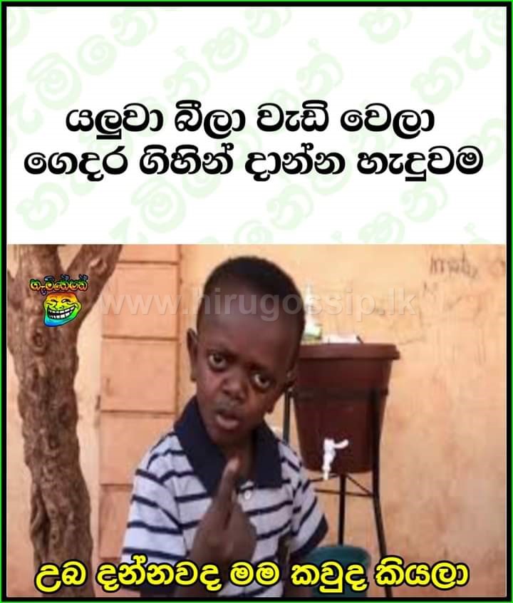duwadeemata_27.jpg
