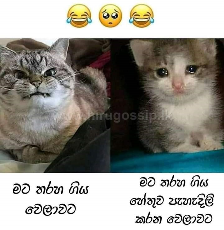 duwadeemata_29.jpg