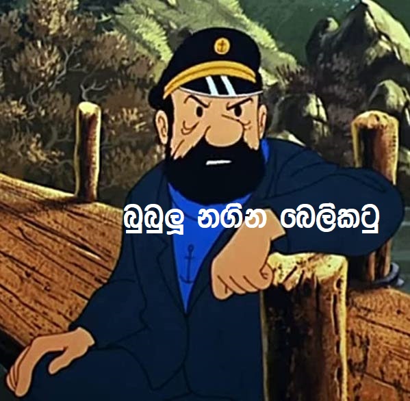 E1e6bea5a48a12ef9b871e71dd0424842cbb67a67d0b22bf66af8c11b9fcc308._V_SX1080_.jpg