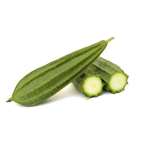 e72bc2f41d319010e867662b084419cb.png