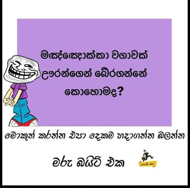 e8a14fb8-4ae0-4ea2-83ac-92e547dc5363.jpeg