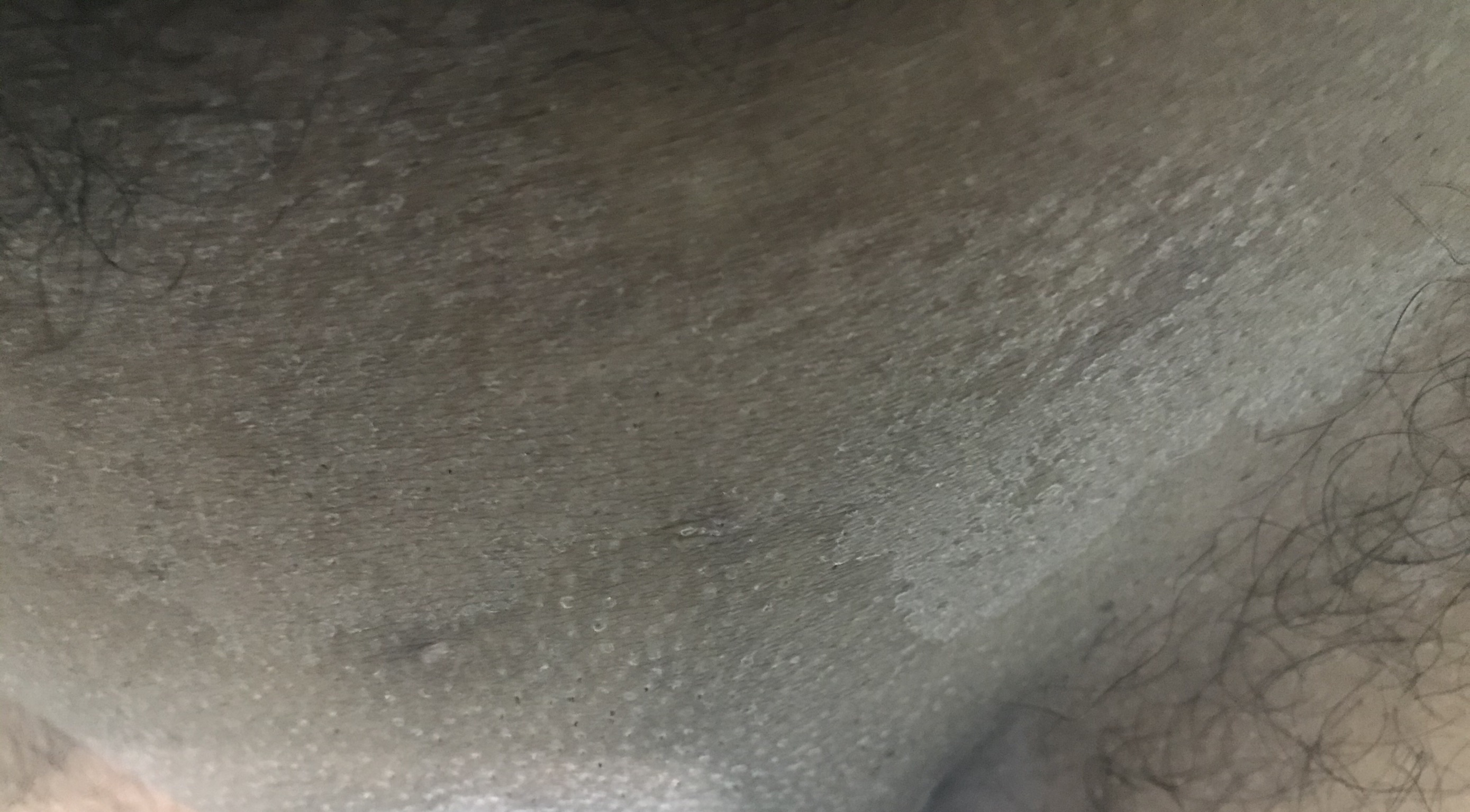 EABCEBD3-D5BA-400B-A643-28F58C133C6A.jpeg